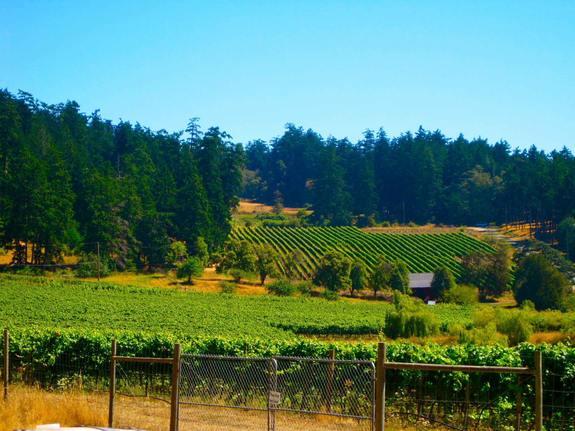 Winery